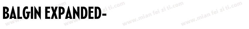 BALGIN EXPANDED字体转换
